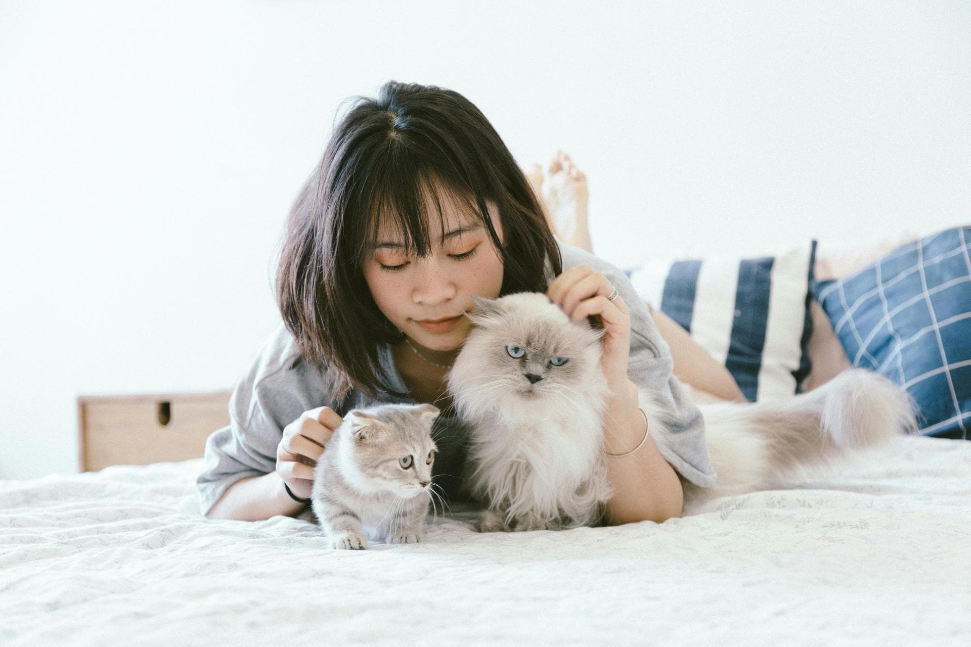 Dog & Cat Vets in Slough